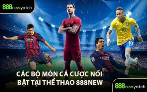 Các Bộ Môn Cá Cược Nổi Bật Tại Thể Thao 888New