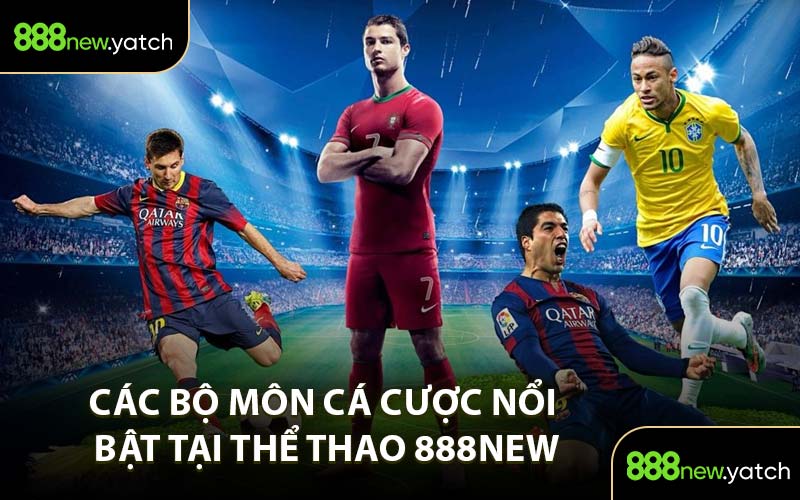Các Bộ Môn Cá Cược Nổi Bật Tại Thể Thao 888New