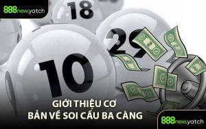 Giới Thiệu Cơ Bản Về Soi Cầu Ba Càng