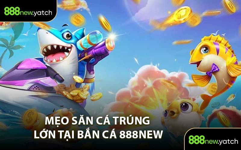 Mẹo Săn Cá Trúng Lớn Tại Bắn Cá 888New
