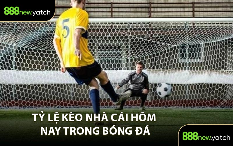 Tỷ Lệ Kèo Nhà Cái Hôm Nay Trong Bóng Đá